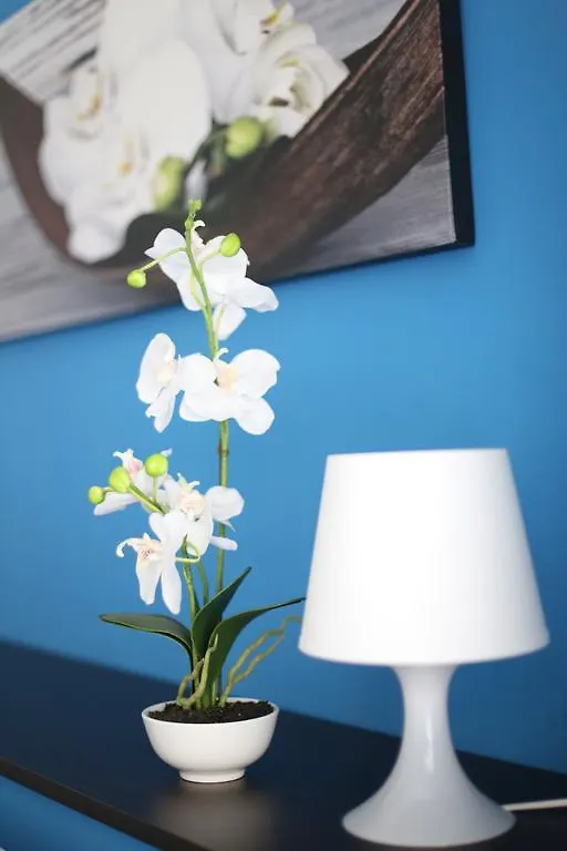 Guest house Iris Room Rome